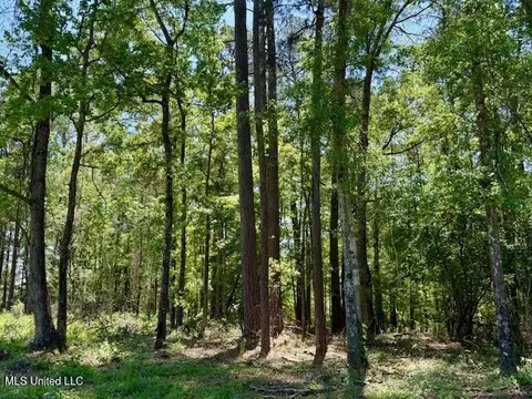 1262 Holmesville Rd, Jayess, MS 39641 photo 30