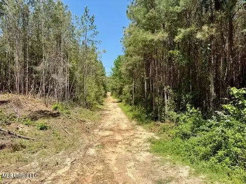 1262 Holmesville Rd, Jayess, MS 39641 photo 49