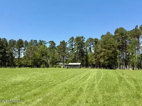 1262 Holmesville Rd, Jayess, MS 39641 photo 32