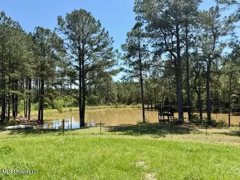 1262 Holmesville Rd, Jayess, MS 39641 photo 37