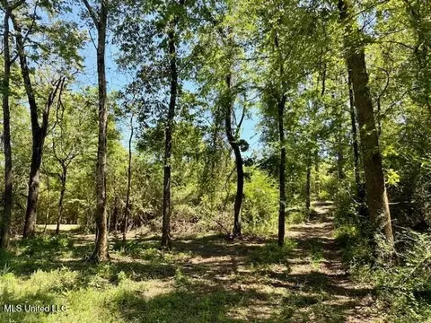 1262 Holmesville Rd, Jayess, MS 39641 photo 52