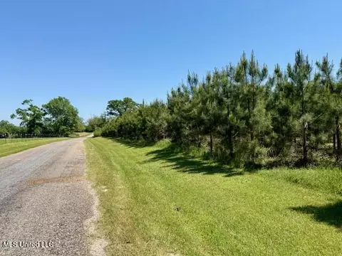 1262 Holmesville Rd, Jayess, MS 39641 photo 69