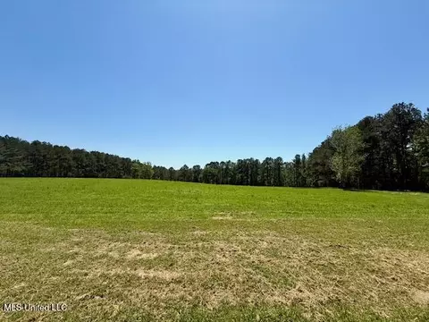 1262 Holmesville Rd, Jayess, MS 39641 photo 9