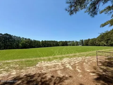 1262 Holmesville Rd, Jayess, MS 39641 photo 67