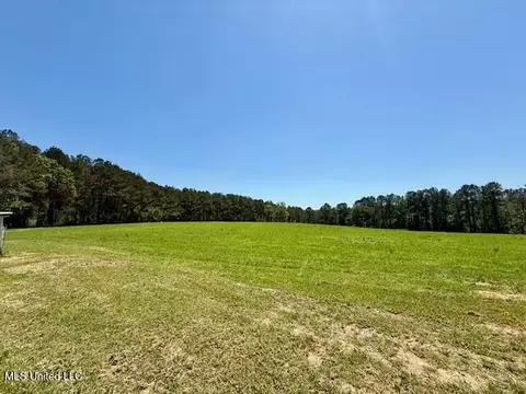 1262 Holmesville Rd, Jayess, MS 39641 photo 29