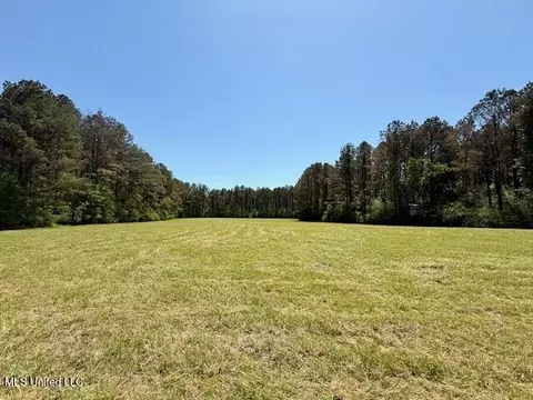 1262 Holmesville Rd, Jayess, MS 39641 photo 60