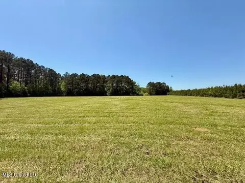 1262 Holmesville Rd, Jayess, MS 39641 photo 56