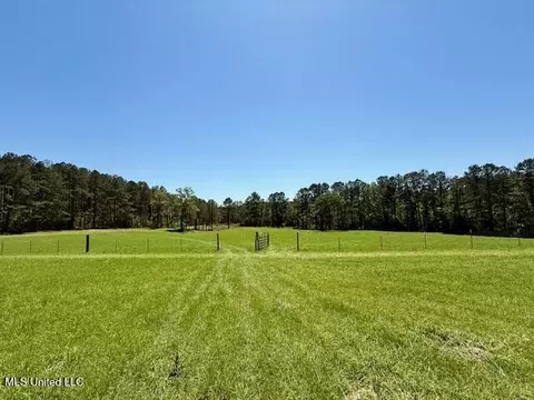 1262 Holmesville Rd, Jayess, MS 39641 photo 34