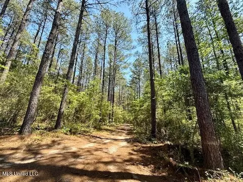 1262 Holmesville Rd, Jayess, MS 39641 photo 40