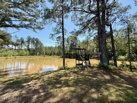 1262 Holmesville Rd, Jayess, MS 39641 photo 42