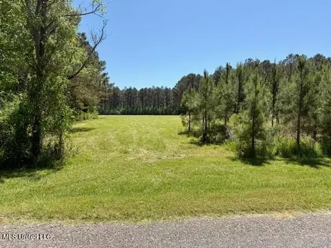 1262 Holmesville Rd, Jayess, MS 39641 photo 71