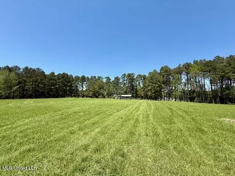 1262 Holmesville Rd, Jayess, MS 39641 photo 33