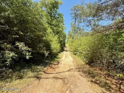 1262 Holmesville Rd, Jayess, MS 39641 photo 54