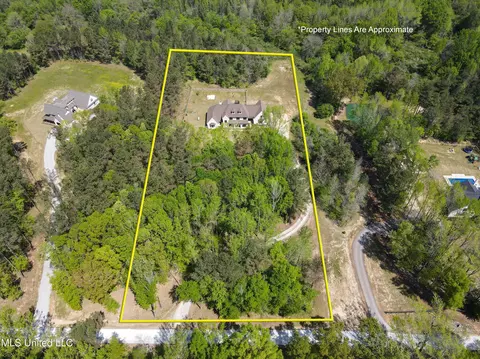 View/Area - 6978 Vaiden Rd, Hernando, MS 38632 photo 2 of 4
