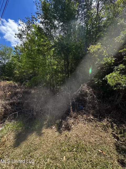 Other - 19211 Crestwick St, Saucier, MS 39574 photo 6 of 6