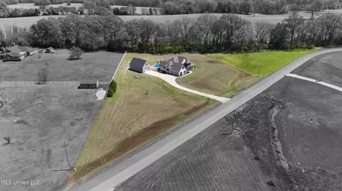 View/Area - 2850 Horn Lake Rd, Hernando, MS 38632 photo 5 of 6