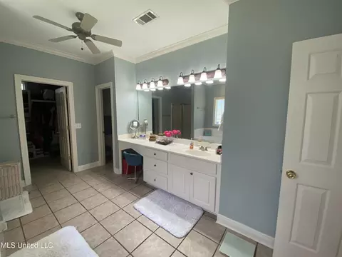 Bath - 140 Oak View Dr, Terry, MS 39170 photo 5 of 13