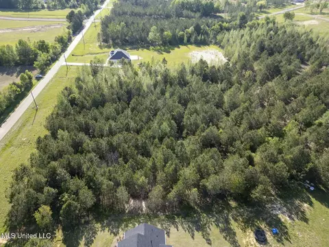 Stout Road, Canton, MS 39046 photo 4