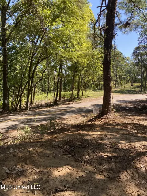 O Bluff Road, Coldwater, MS 38618 photo 3