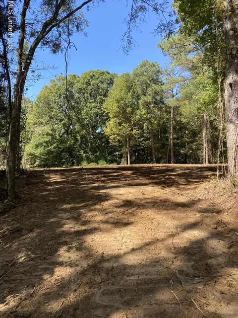 O Bluff Road, Coldwater, MS 38618