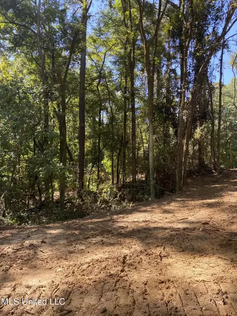 O Bluff Road, Coldwater, MS 38618 photo 8