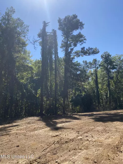 O Bluff Road, Coldwater, MS 38618 photo 7