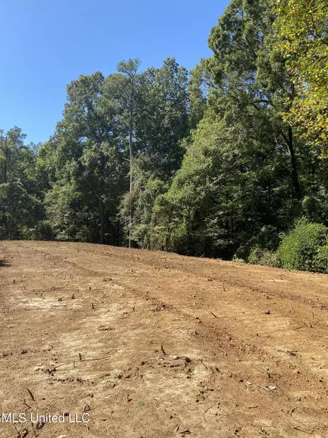 O Bluff Road, Coldwater, MS 38618 photo 6