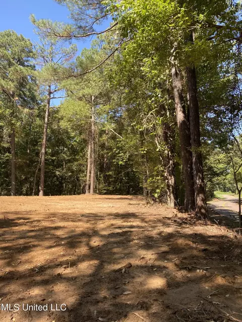 O Bluff Road, Coldwater, MS 38618 photo 2