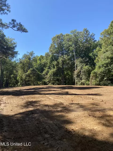 O Bluff Road, Coldwater, MS 38618 photo 4