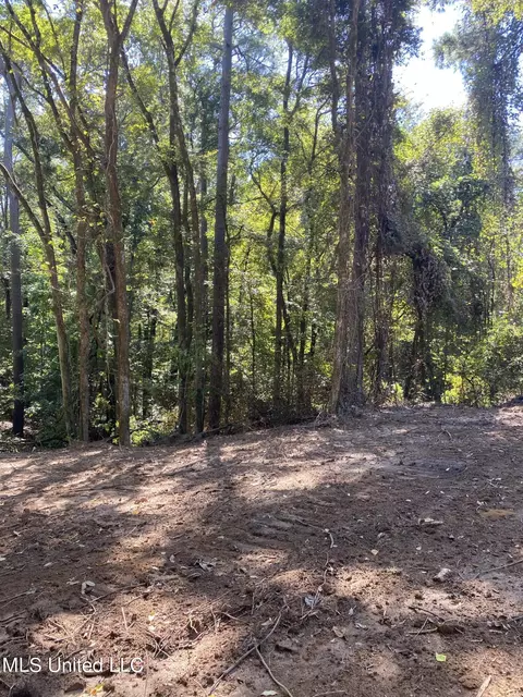 O Bluff Road, Coldwater, MS 38618 photo 5