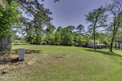 Mescalero Way, Madison, MS 39110 photo 9