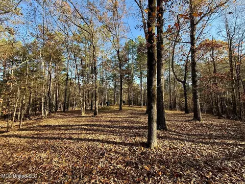0 Mill Pond Rd, Lamar, MS 38642 photo 9