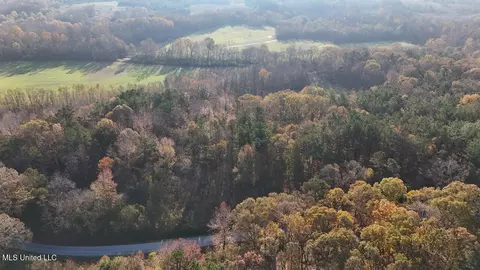 0 Mill Pond Rd, Lamar, MS 38642 photo 3