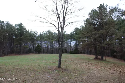 0 Mill Pond Rd, Lamar, MS 38642 photo 11
