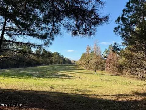 0 Mill Pond Rd, Lamar, MS 38642 photo 7