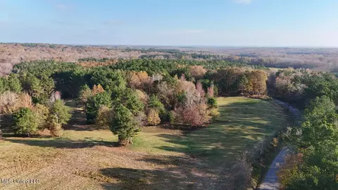 0 Mill Pond Rd, Lamar, MS 38642 photo 2