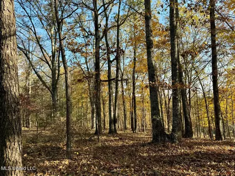 0 Mill Pond Rd, Lamar, MS 38642 photo 8