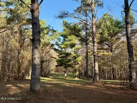 0 Mill Pond Rd, Lamar, MS 38642 photo 6