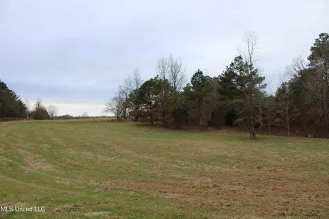 0 Mill Pond Rd, Lamar, MS 38642 photo 10