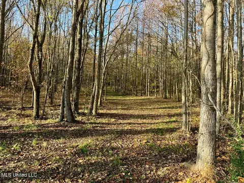 0 Mill Pond Rd, Lamar, MS 38642 photo 5