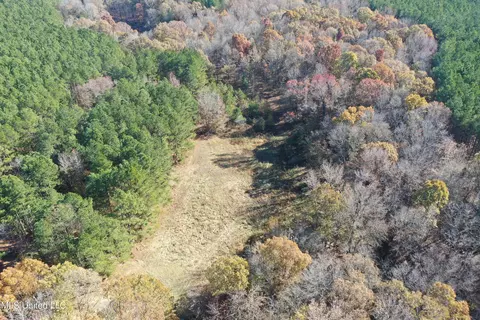 0 S Slayden Rd, Lamar, MS 38642 photo 2