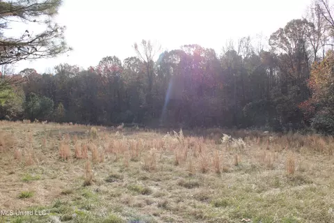 0 S Slayden Rd, Lamar, MS 38642 photo 14