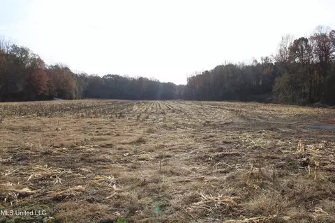 0 S Slayden Rd, Lamar, MS 38642 photo 6