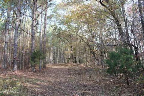 0 S Slayden Rd, Lamar, MS 38642 photo 9