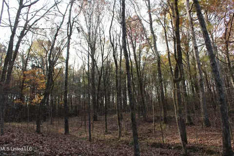 0 S Slayden Rd, Lamar, MS 38642 photo 10