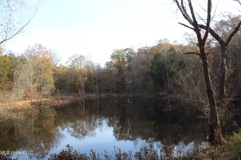 0 S Slayden Rd, Lamar, MS 38642 photo 12
