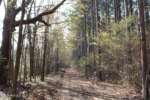 0 S Slayden Rd, Lamar, MS 38642 photo 18