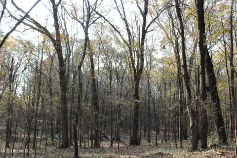 0 S Slayden Rd, Lamar, MS 38642 photo 13