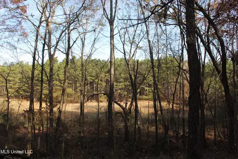 0 S Slayden Rd, Lamar, MS 38642 photo 15