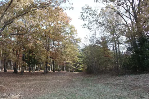 0 S Slayden Rd, Lamar, MS 38642 photo 7